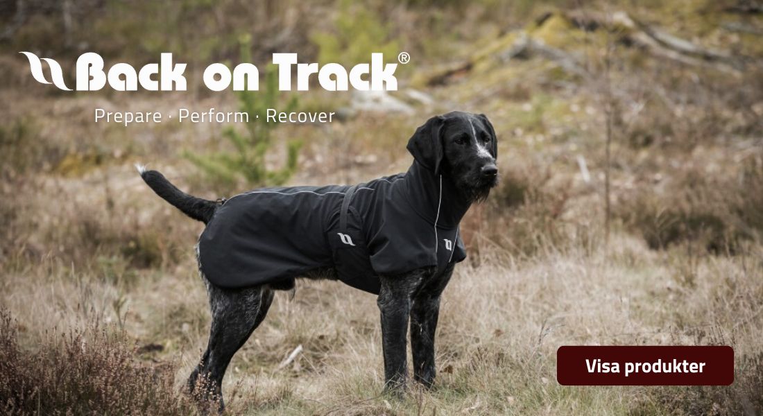 Back on Track Varumärke Banner