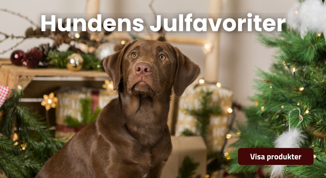 Hundens Julfavoriter