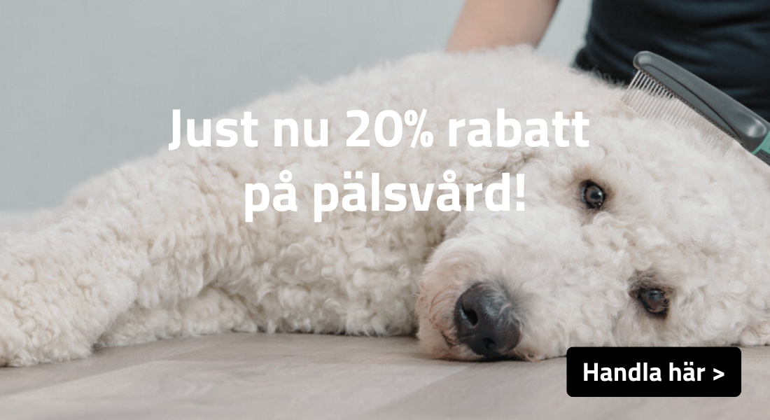 20% Rabatt på Pälsvård
