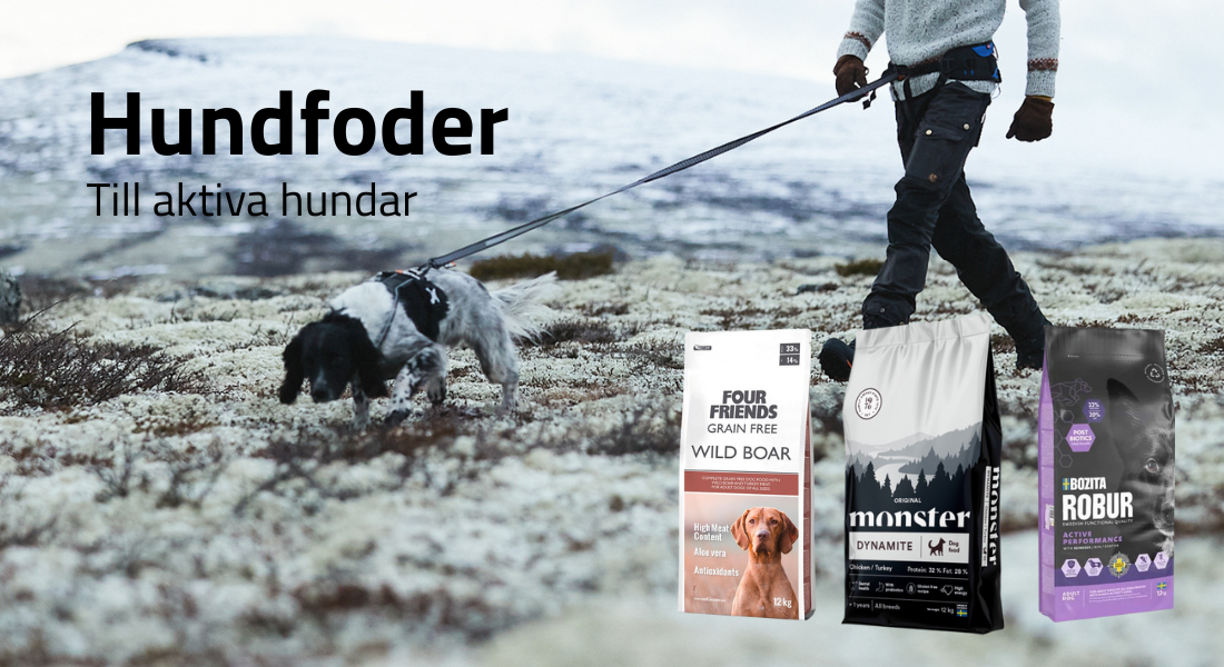 Hundfoder