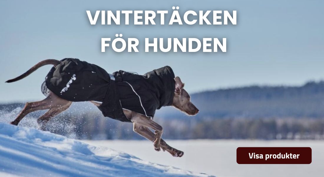 Vintertäcken toppbanner